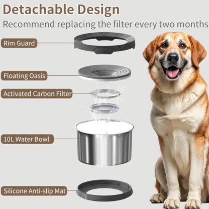 Tazón de Agua para Perros de 10 Litros Antiderrames 🐶💦 Extra Grande de Acero Inoxidable - Imagen 3