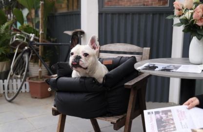 🚗🐾 Asiento de Auto y Cama para Mascotas FUNNYFUZZY – Comodidad y Seguridad en un Solo Producto 🐶✨ - Imagen 4