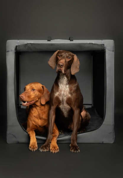 63 cm Jaula Plegable para Mascotas con Bolsa y Colchón 🐶🚗✨ - Imagen 3