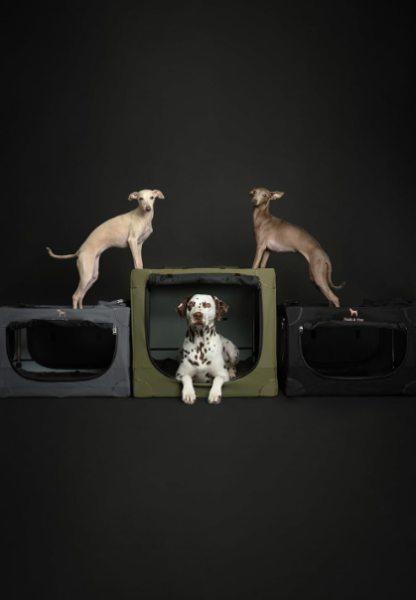 63 cm Jaula Plegable para Mascotas con Bolsa y Colchón 🐶🚗✨ - Imagen 4