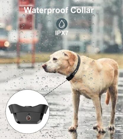 Collar de Adiestramiento para Perros con Control Remoto, 4 Modos y Rociador de Citronela 🐶🌿 - Imagen 7