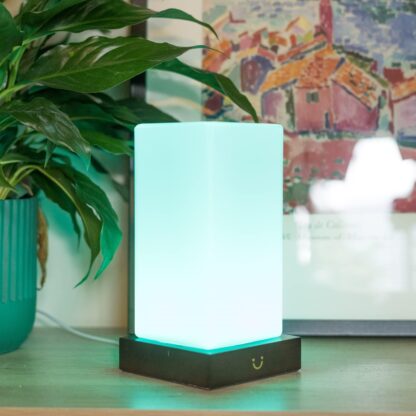 Lámparas de amistad con WiFi y control táctil para conexión a distancia 🌈💡 - Imagen 6