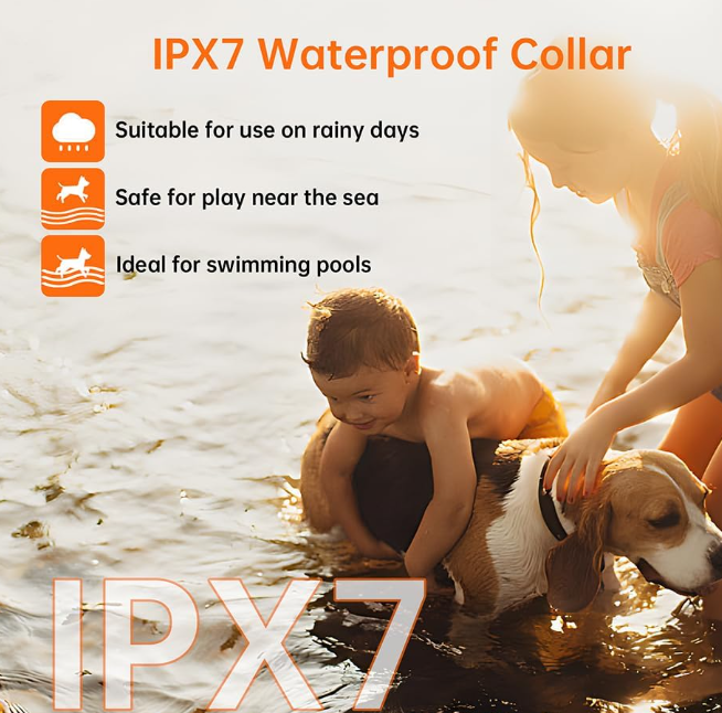 Valla inalámbrica para perros con sistema GPS – Seguridad y libertad en un solo dispositivo 🐶📡 - Imagen 6