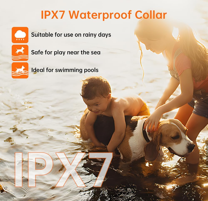 Valla inalámbrica para perros con sistema GPS – Seguridad y libertad en un solo dispositivo 🐶📡 - Imagen 7