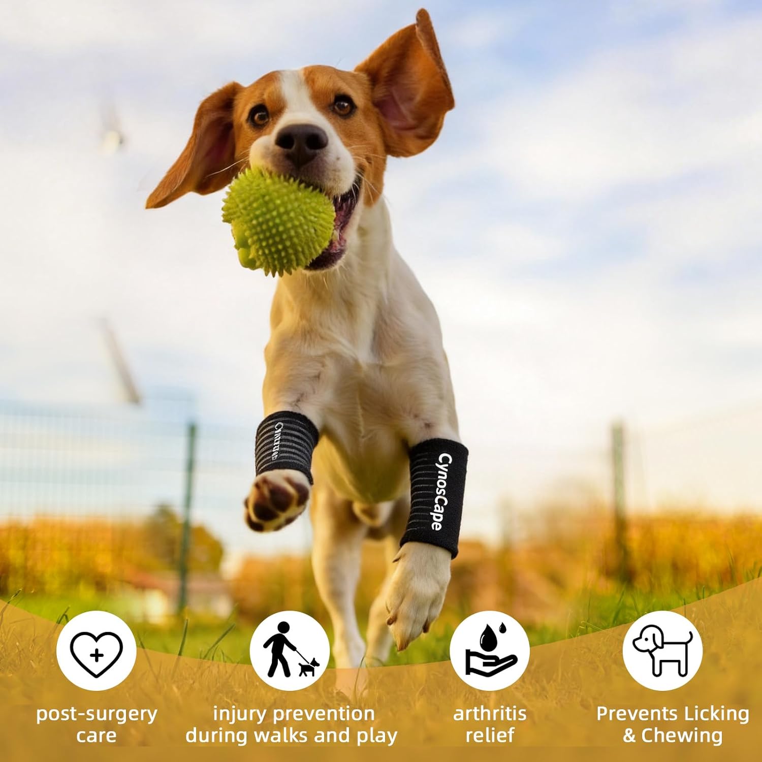 Soporte de Pierna para Perros - Ajustable y Cómodo 🐾 - Imagen 2