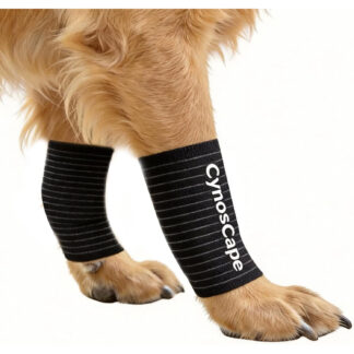 Soporte de Pierna para Perros - Ajustable y Cómodo 🐾