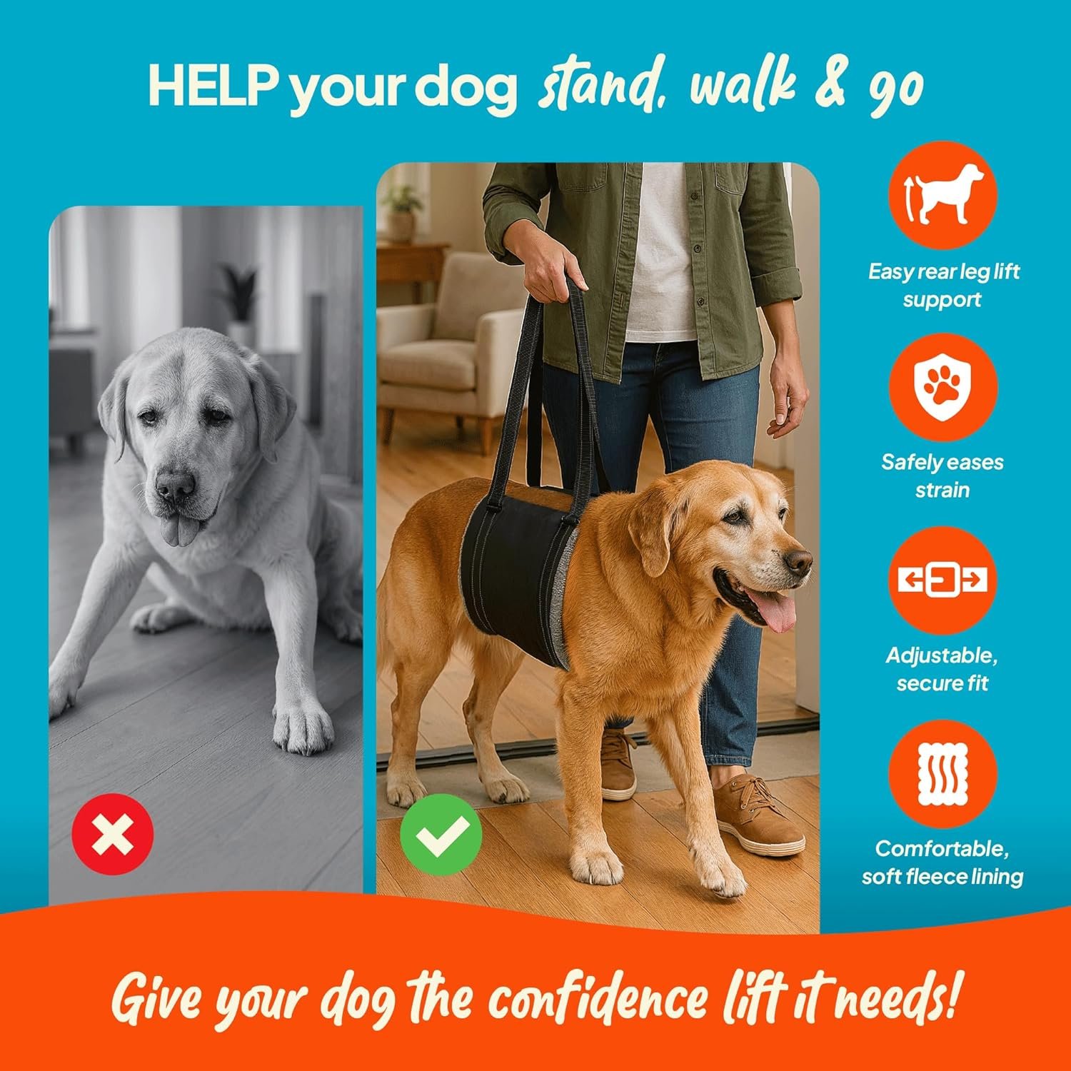 Arnés de Elevación para Perros con Soporte Suave - Imagen 3