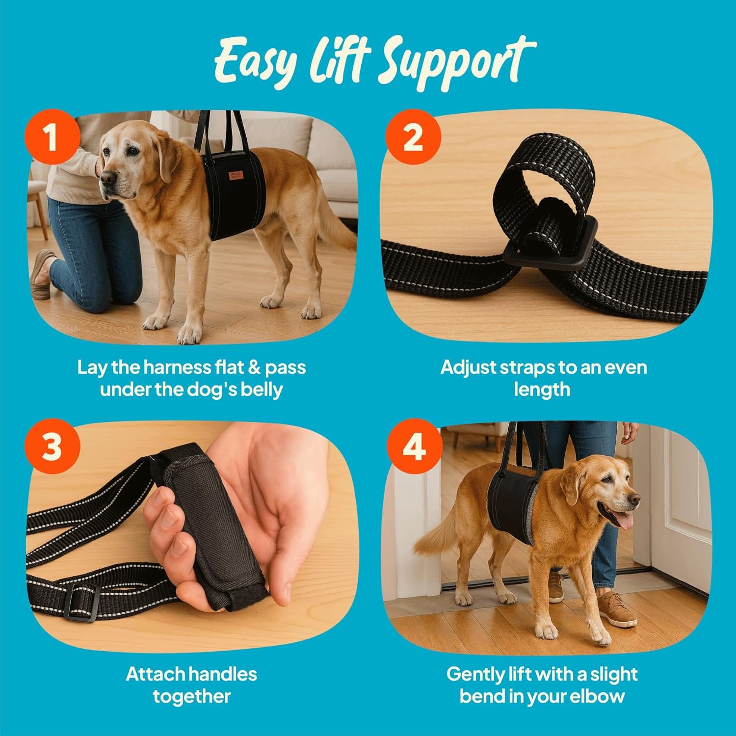 Arnés de Elevación para Perros con Soporte Suave - Imagen 6