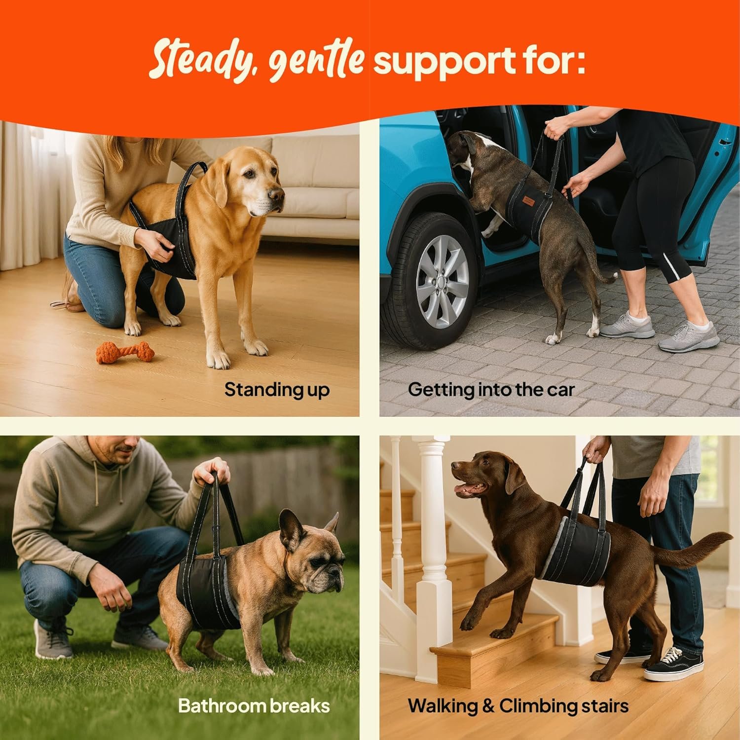 Arnés de Elevación para Perros con Soporte Suave - Imagen 7