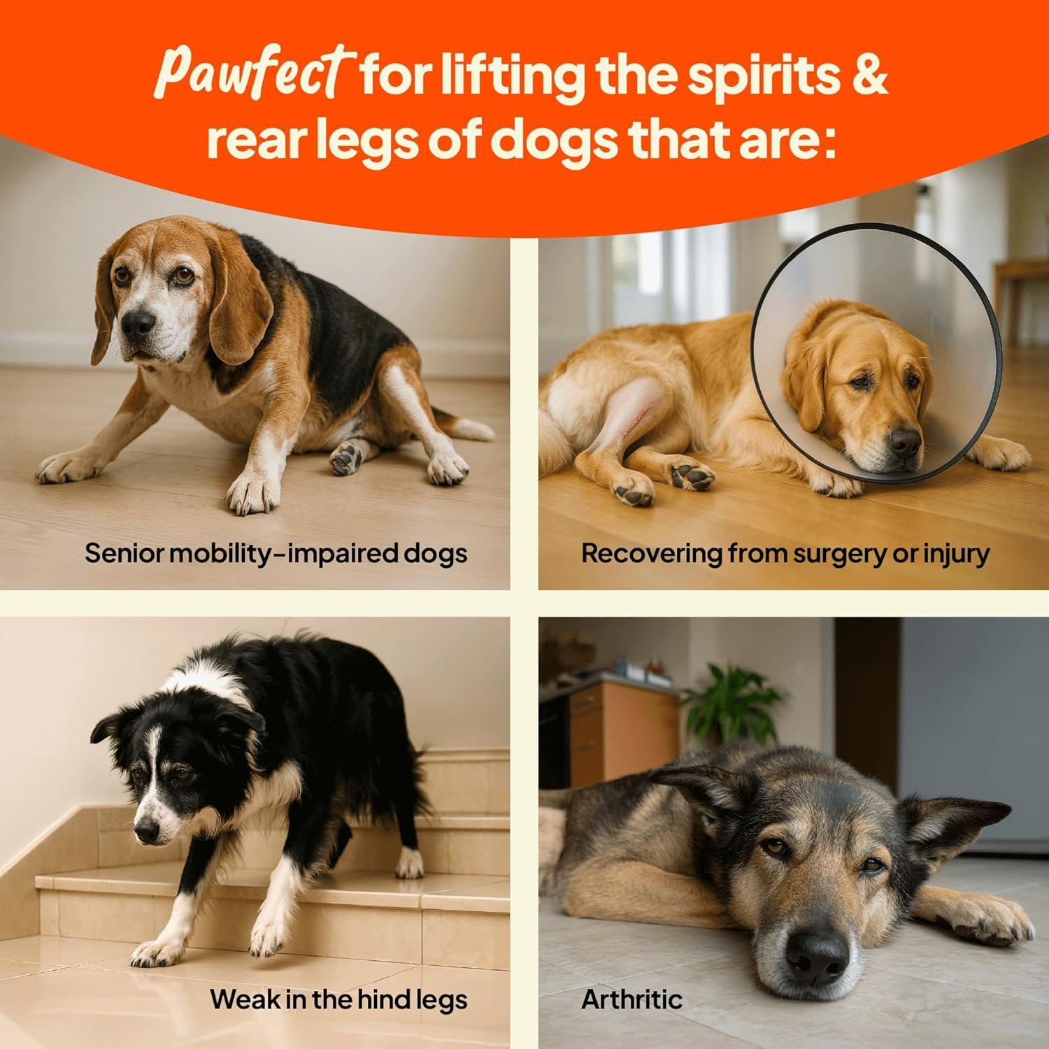 Arnés de Elevación para Perros con Soporte Suave - Imagen 8