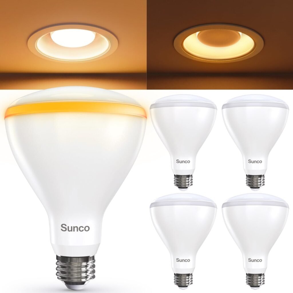 Bombilla LED BR30 Sunco 🌟 Luz Nocturna Regulable