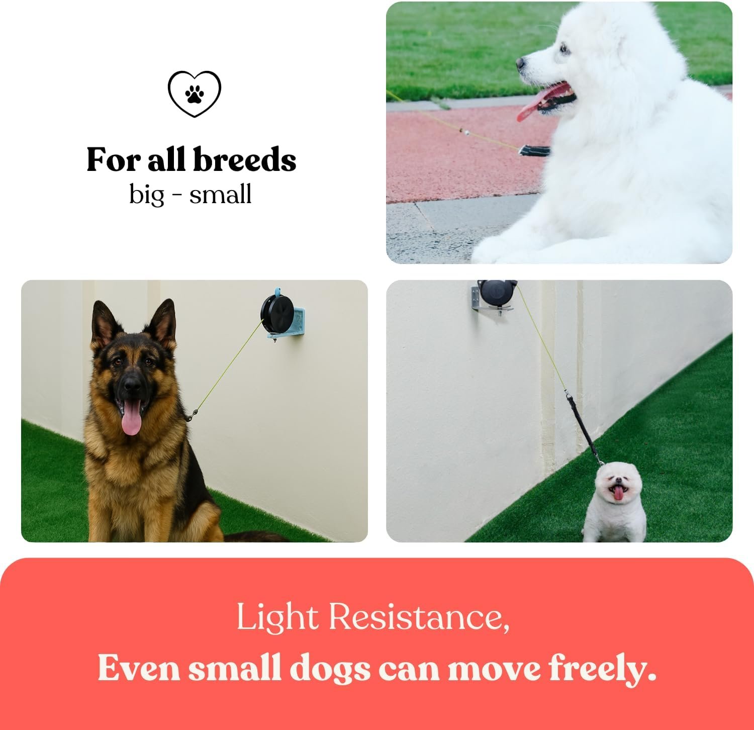 Cable de Amarre Retráctil para Perros 🐶 - Imagen 7