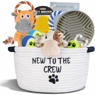 Cesta de Regalo para Cachorros - Kit de Inicio Premium 🐶