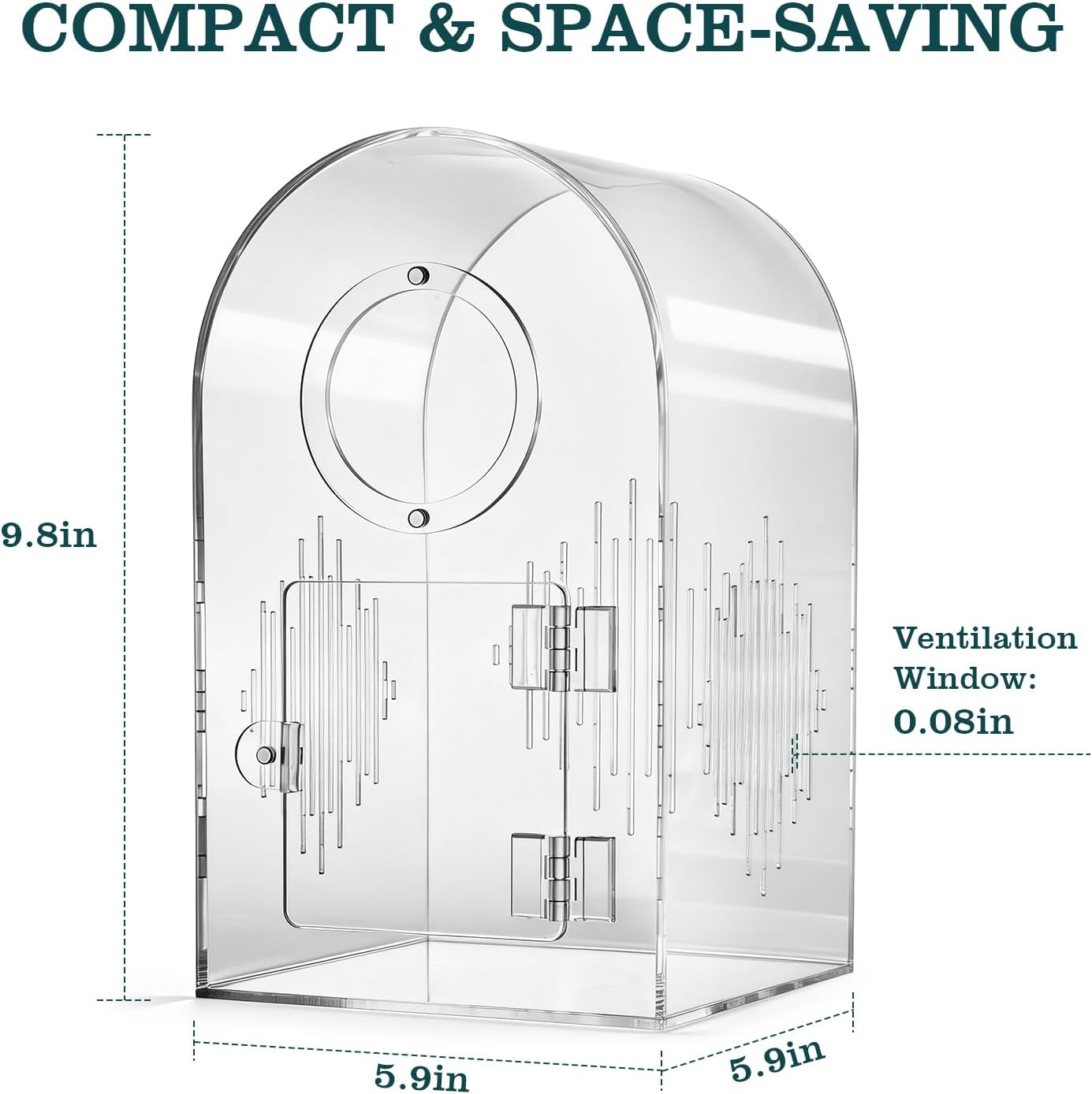 Enclosure de Acrílico para Arañas Saltarinas 🕷️ - Imagen 2