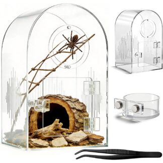 Enclosure de Acrílico para Arañas Saltarinas 🕷️