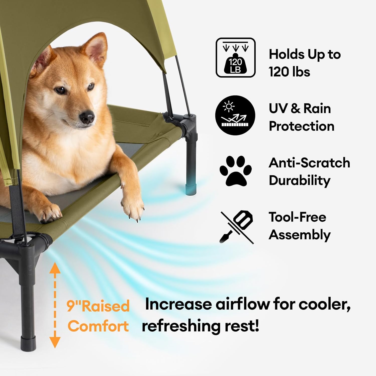 🐶 Cama elevada Funny Fuzzy con toldo para perro pequeño 🌤️ - Imagen 2