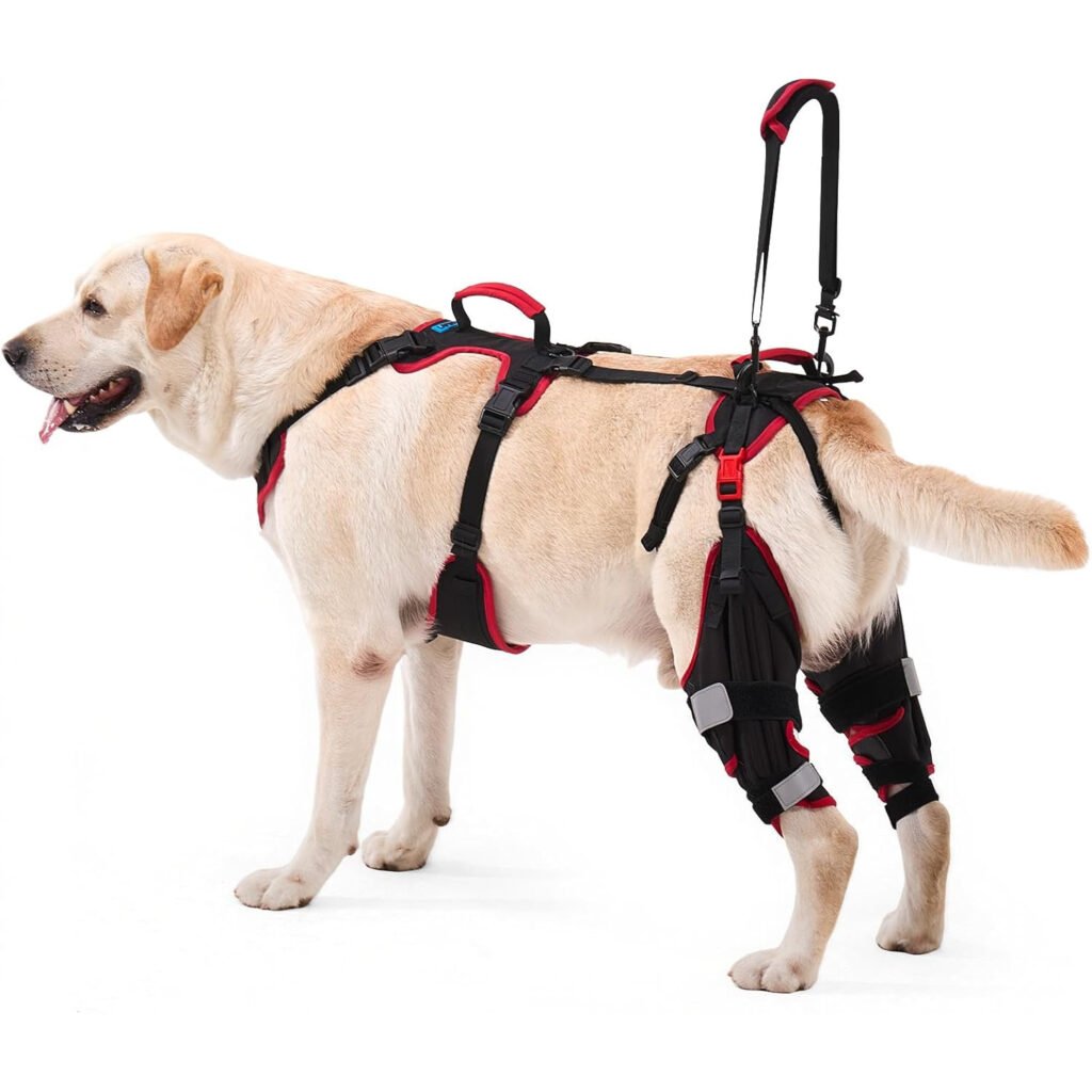 Soporte de Rodilla para Perros Grandes - Set de 2