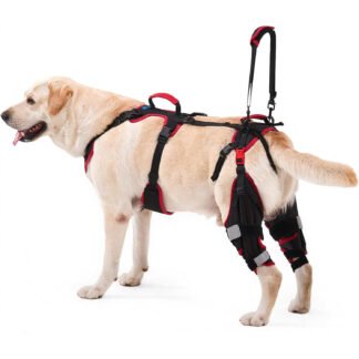 Soporte de Rodilla para Perros Grandes - Set de 2